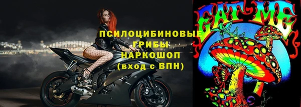 эйфоретик Гусиноозёрск